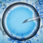Hidden Male Fertility Factors May Explain ICSI Failures Despite Normal Sperm Tests